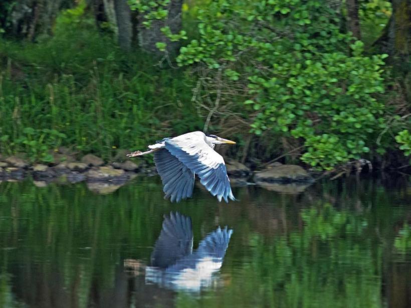 Herons Rest Drumnadrochit Buitenkant foto